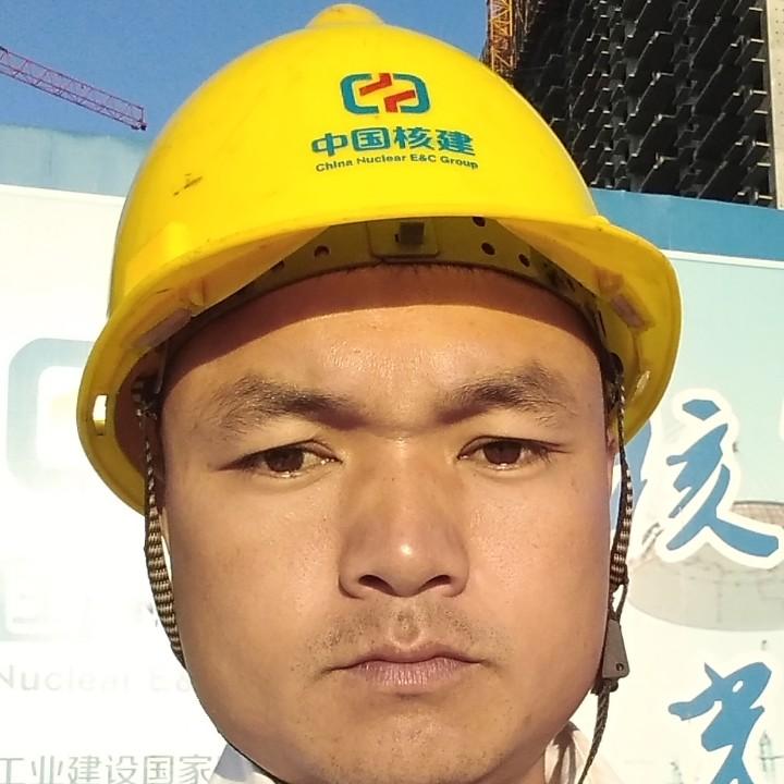 胡氏飞扬