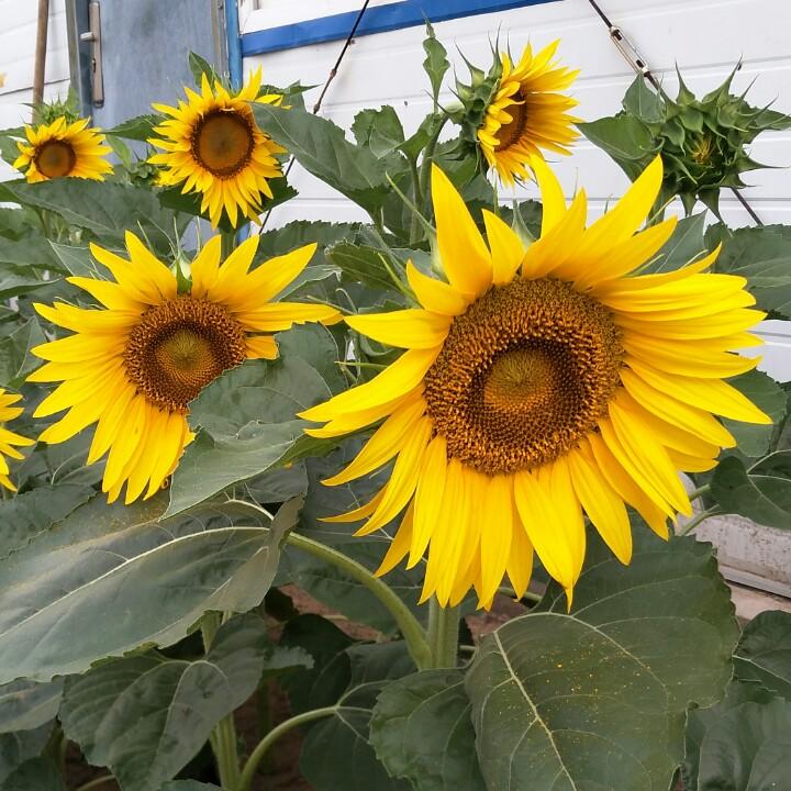 戴着眼镜看世界