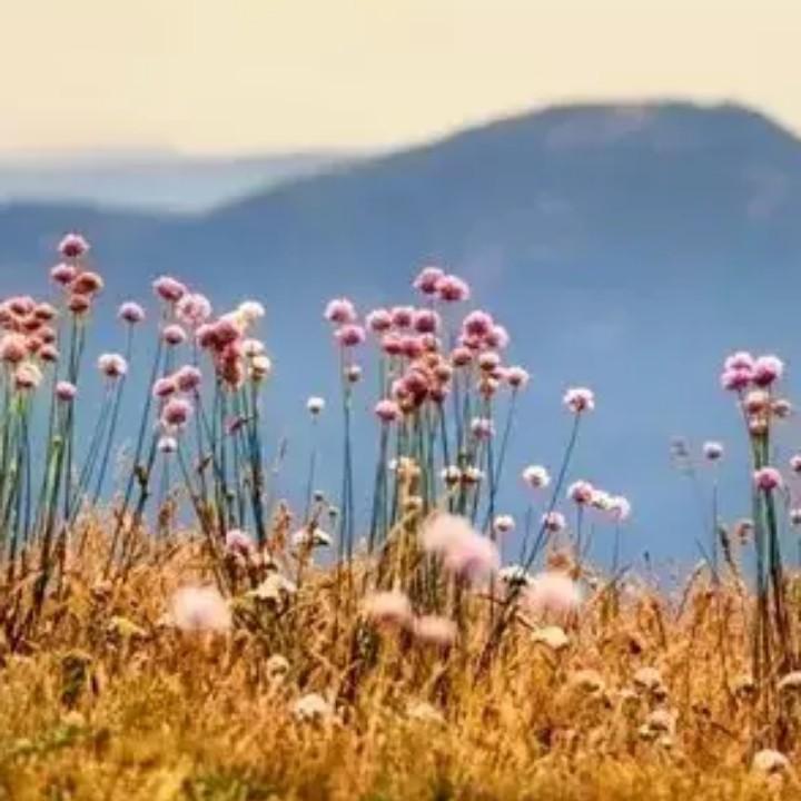 随波逐流