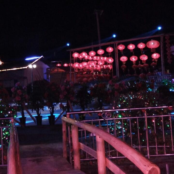 来生只做你的心