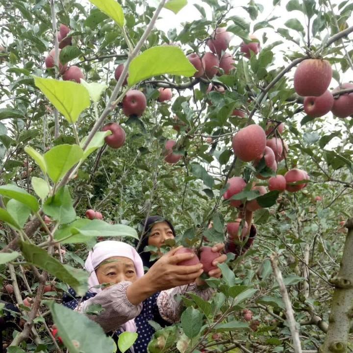 今生如梦_152517259