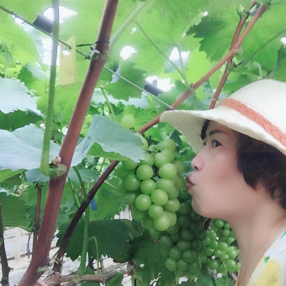 璇叶依人