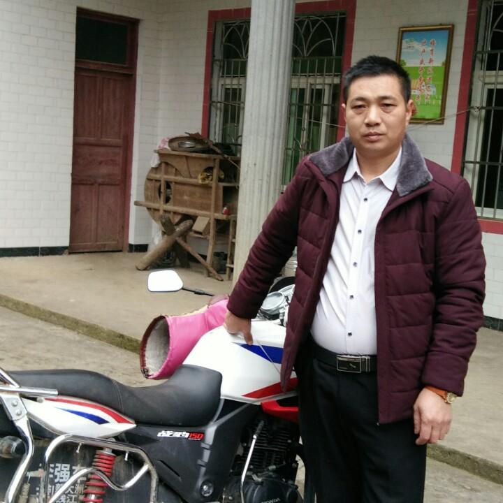 胡红兵