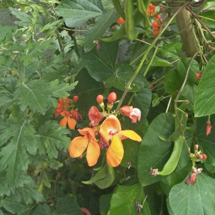 卓嘎🌺