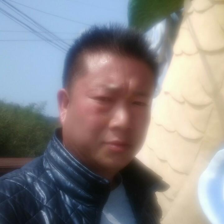龙的心