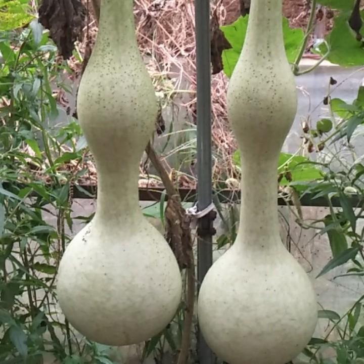 福禄农场