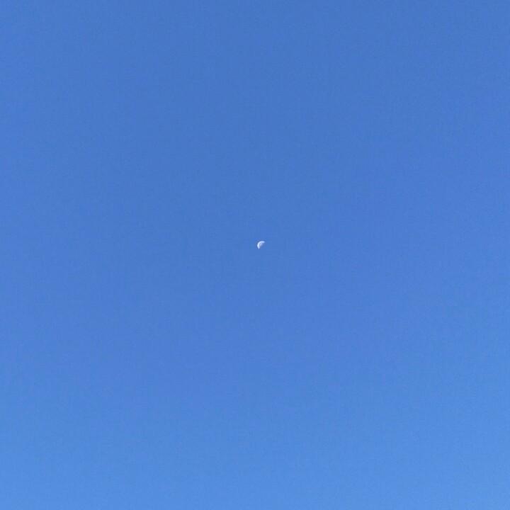 太平洋的中间是什么