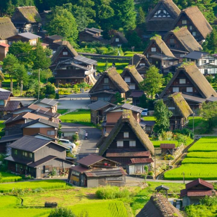 风景