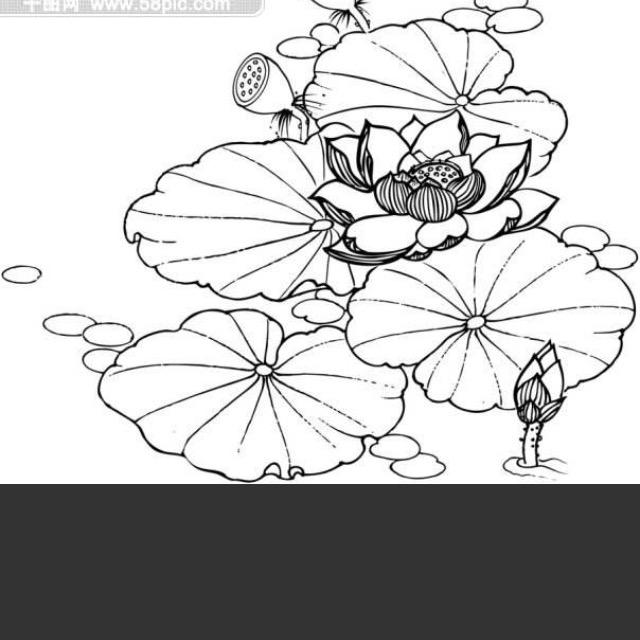 晗笑