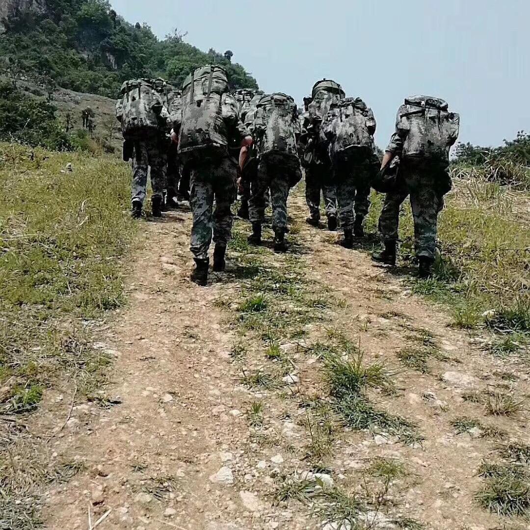 纯属娱乐