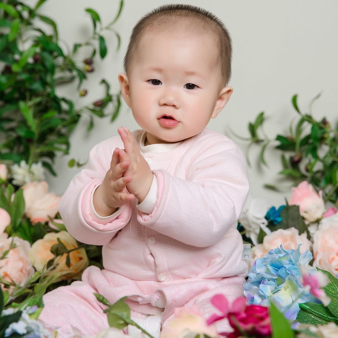 蒲公英