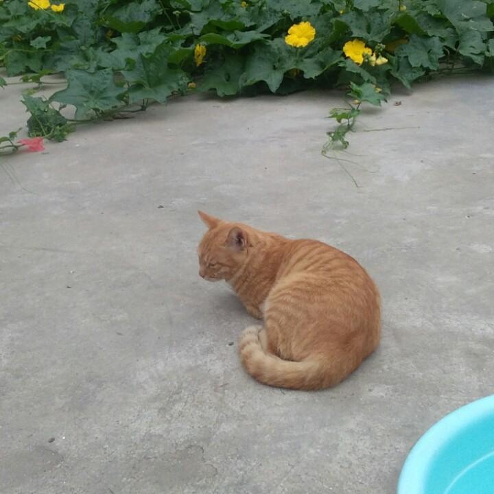 平平淡淡的生活