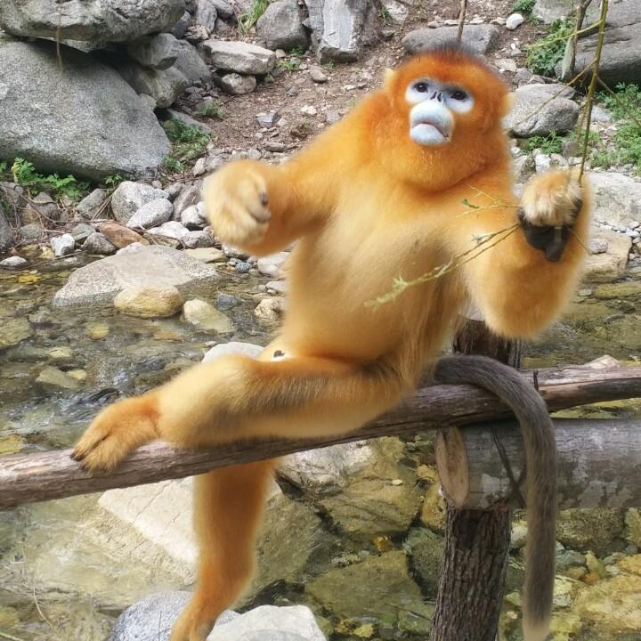 宝贝他爹