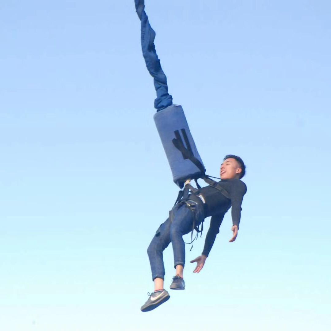 红鲤鱼与绿鲤鱼与驴啊