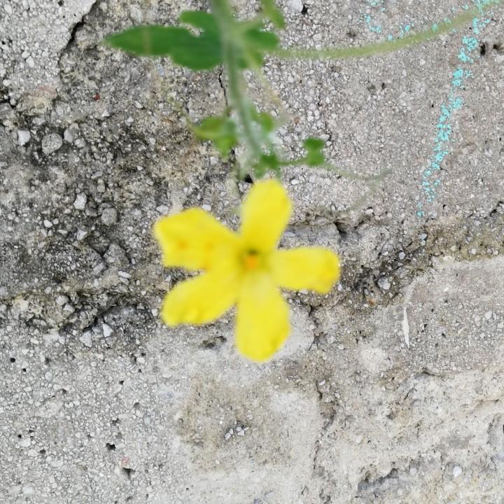 暖暖