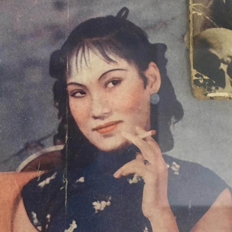 阿尔法汗血宝贝