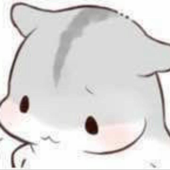Fi