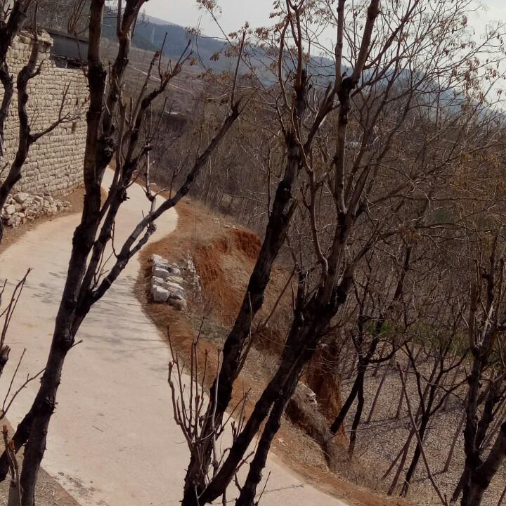 月亮小村