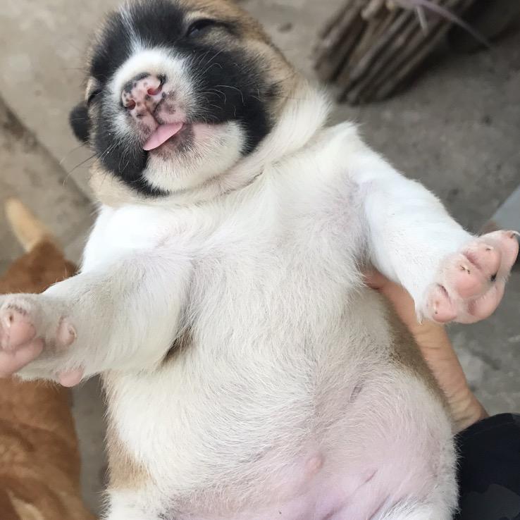 小河边