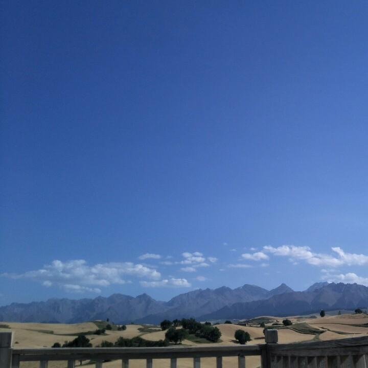 蔡家坡圈圈哥