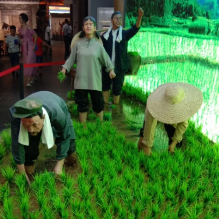 蓝玫瑰