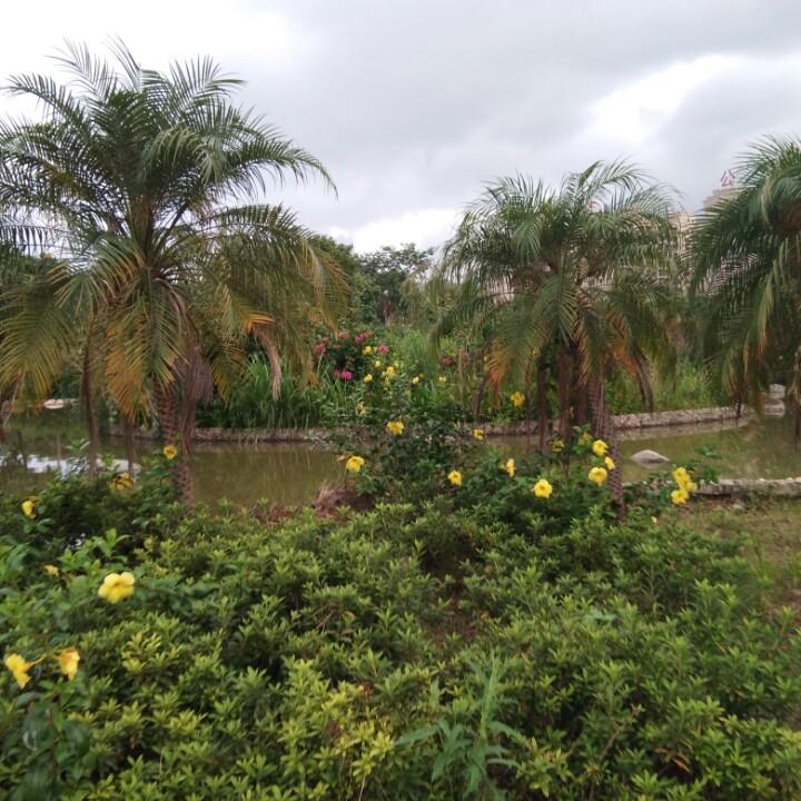 你若安好 便是晴天