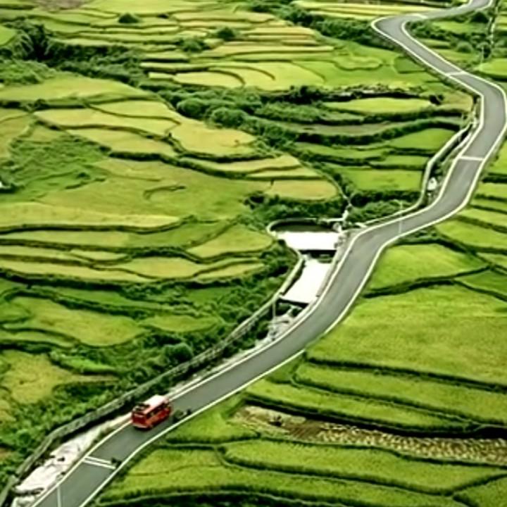 飞龙哥