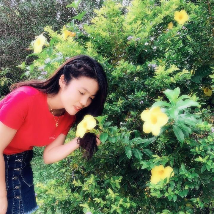 ᰔᩚ 木木林 ᥫᩣ