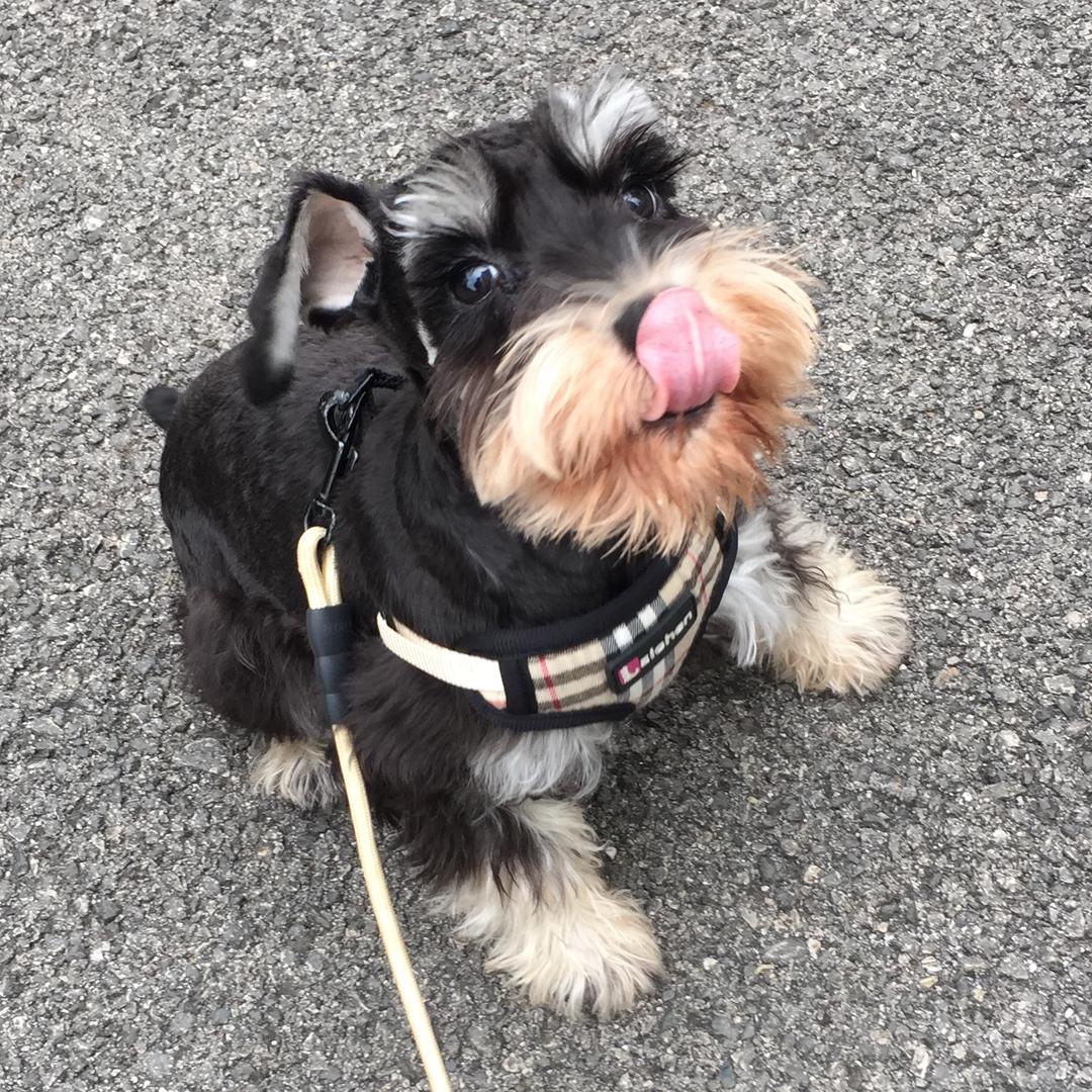 🌕第三片雪花💛