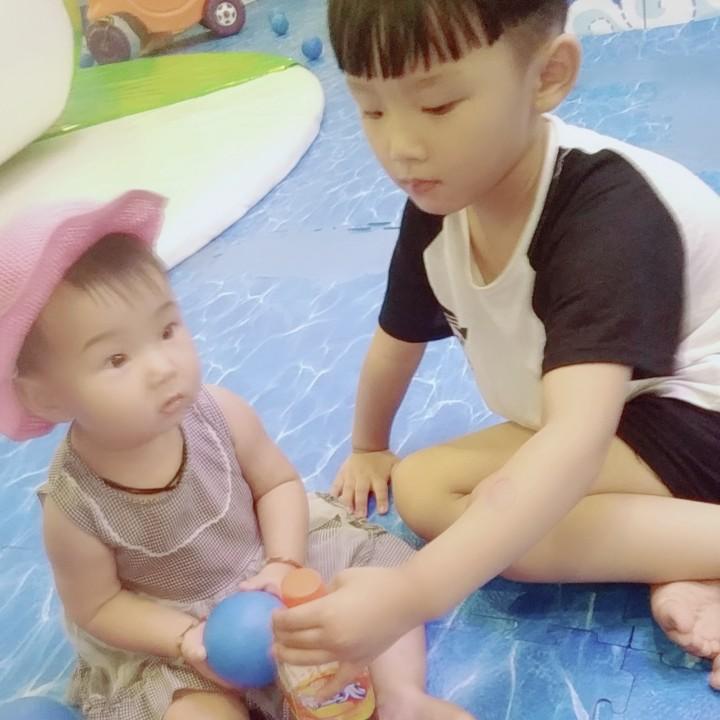 一宝和诺宝