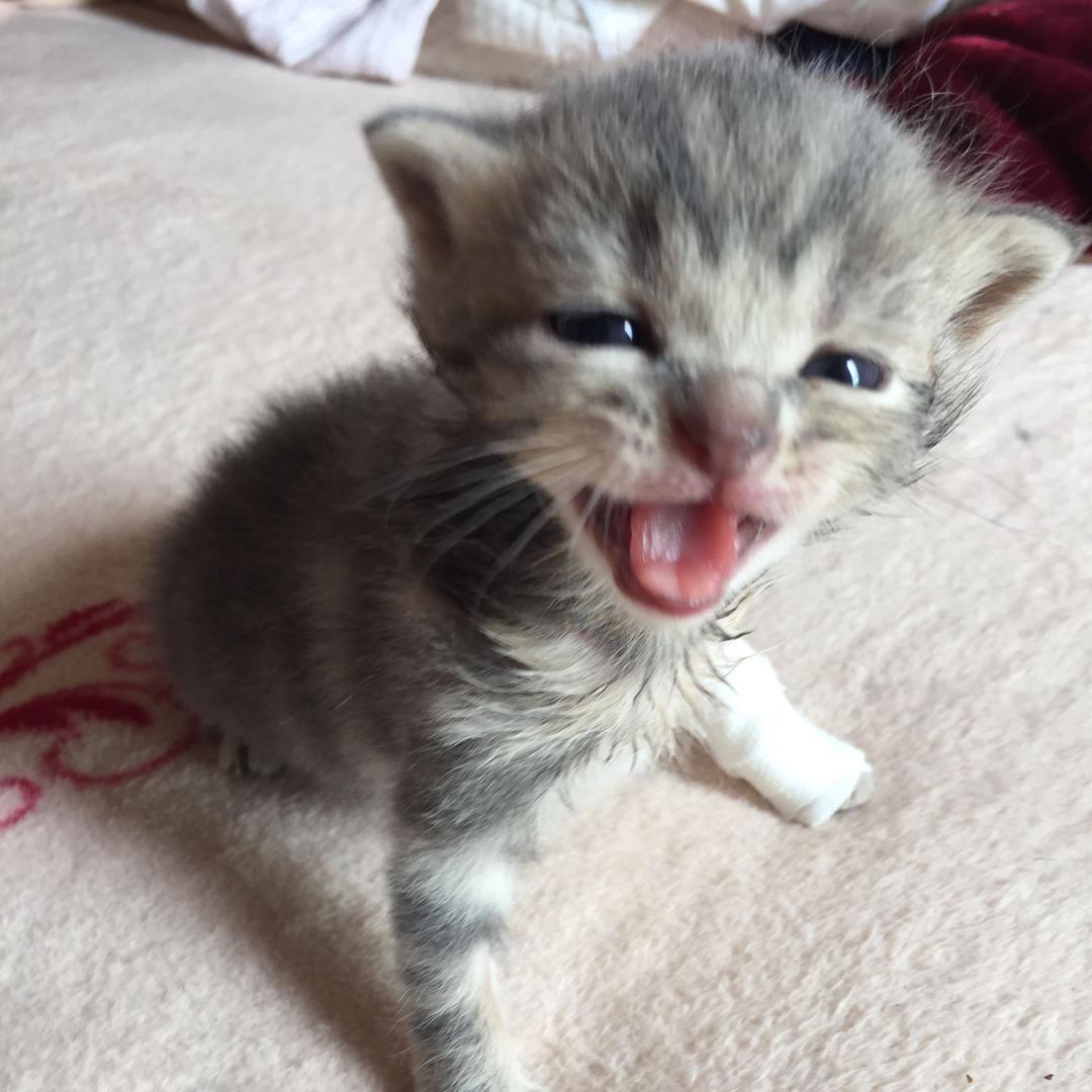 ・   他  人  即  地  狱  つ