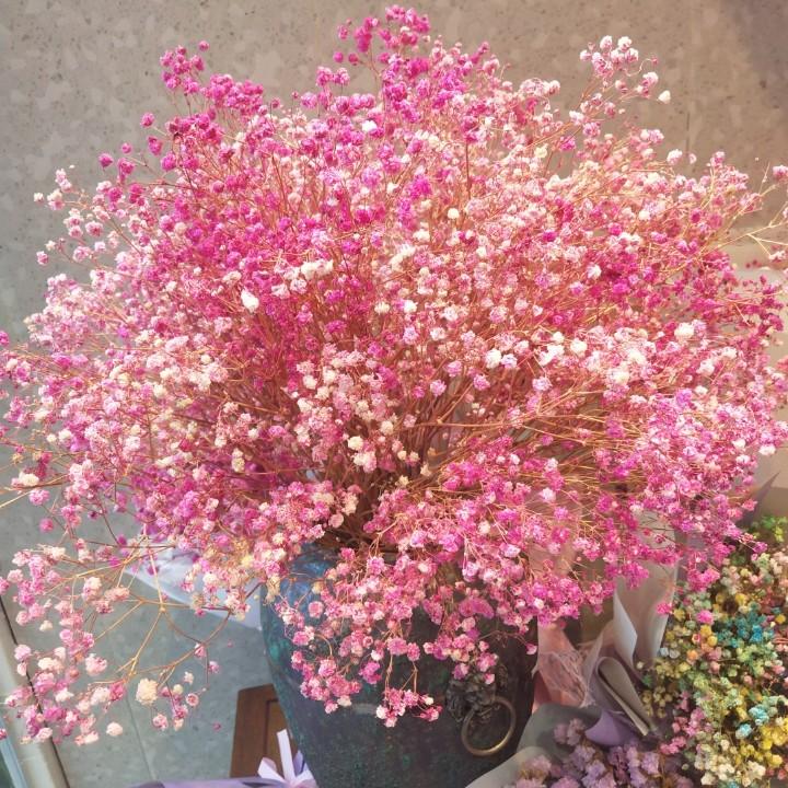 菲菲