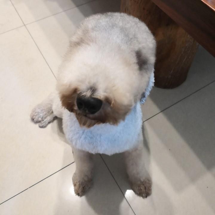 松哥