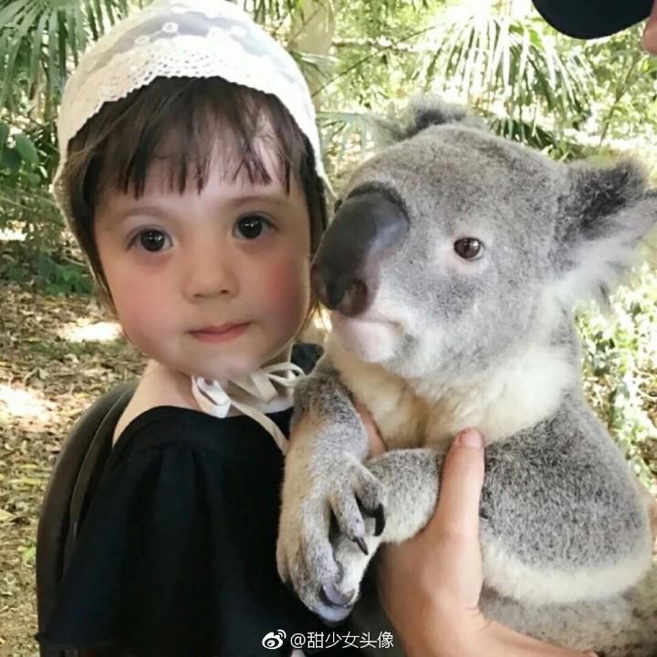 薇薇没有糖了