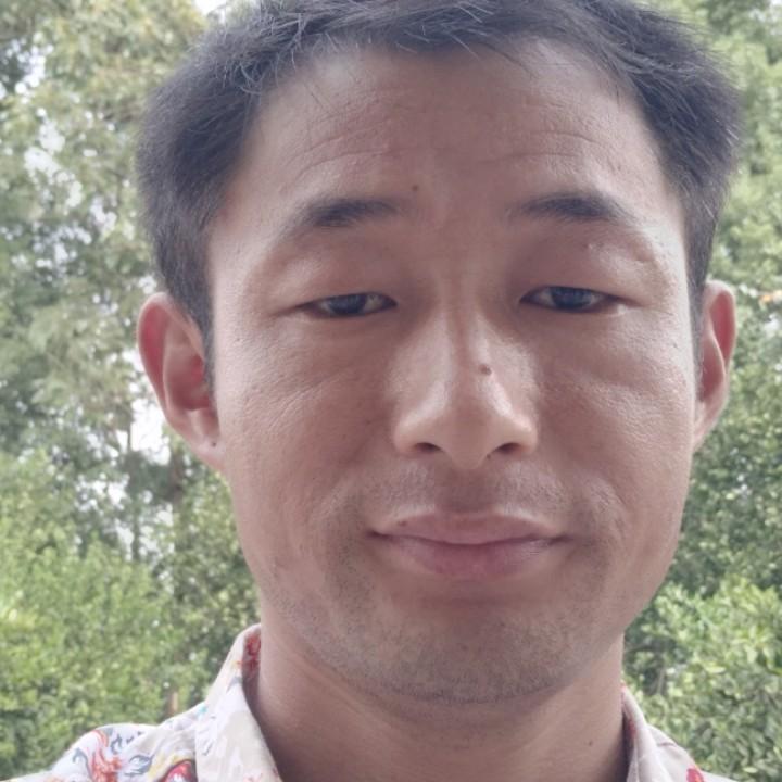 自由飞翔