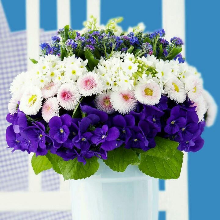 燕归春来芊芊燕子