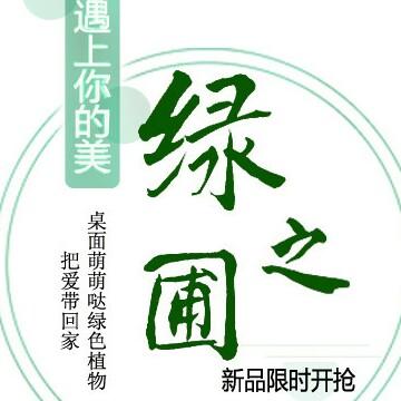 芸菲阳