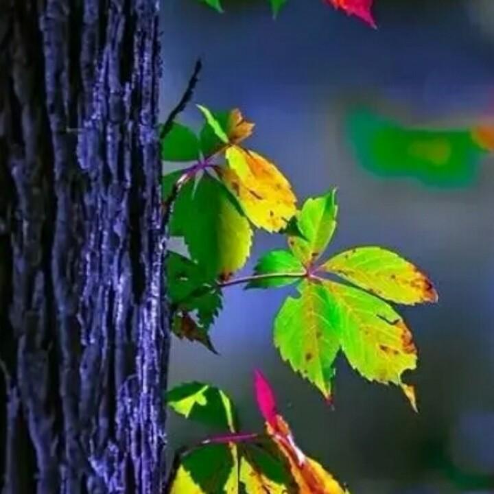 未来的路靠自己