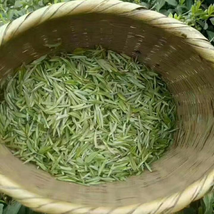 姚溪茶