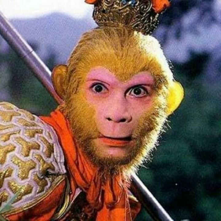 ༺七秒的记忆༻