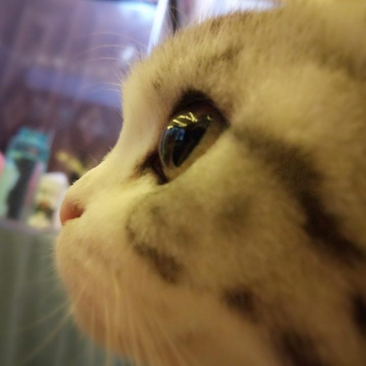未央歌