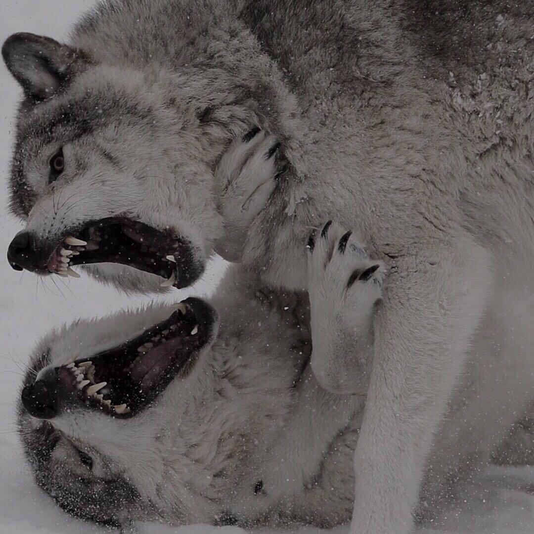 🔀人生如戏↩️