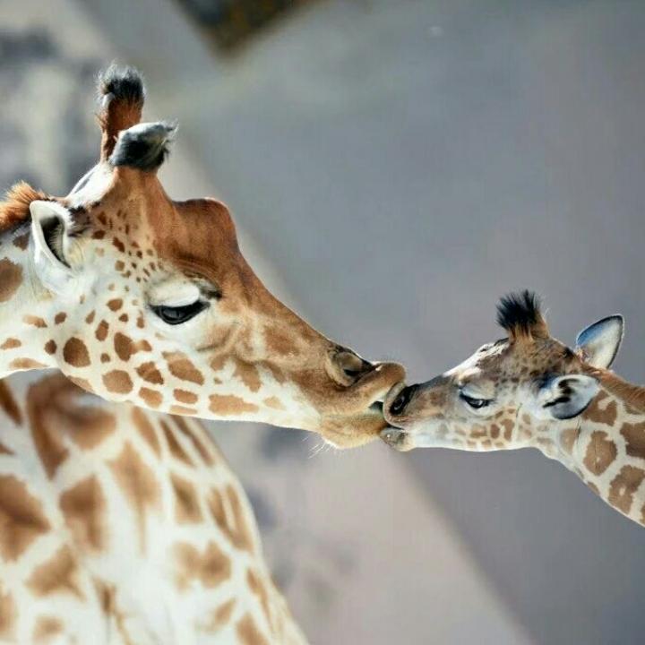 健康快乐每一天