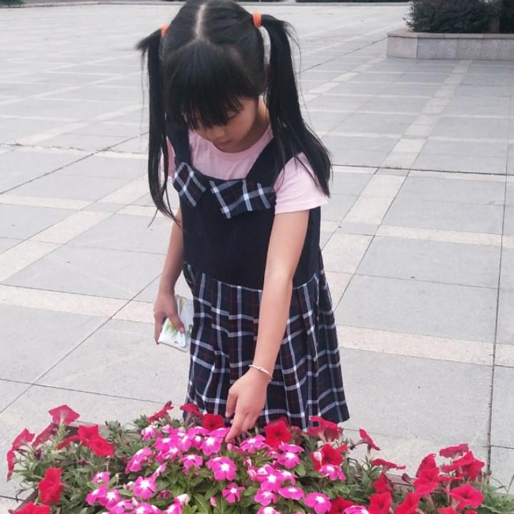 幸福是笨蛋遇上傻瓜