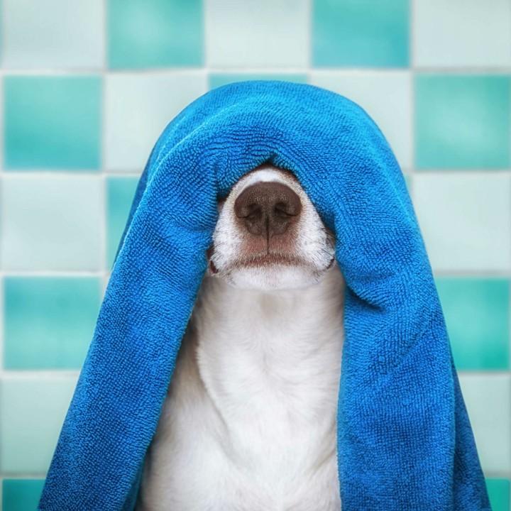 再烦我就打n1哟丶