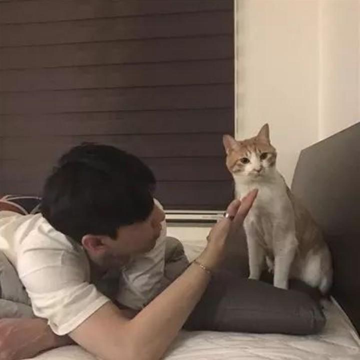 @轮胎