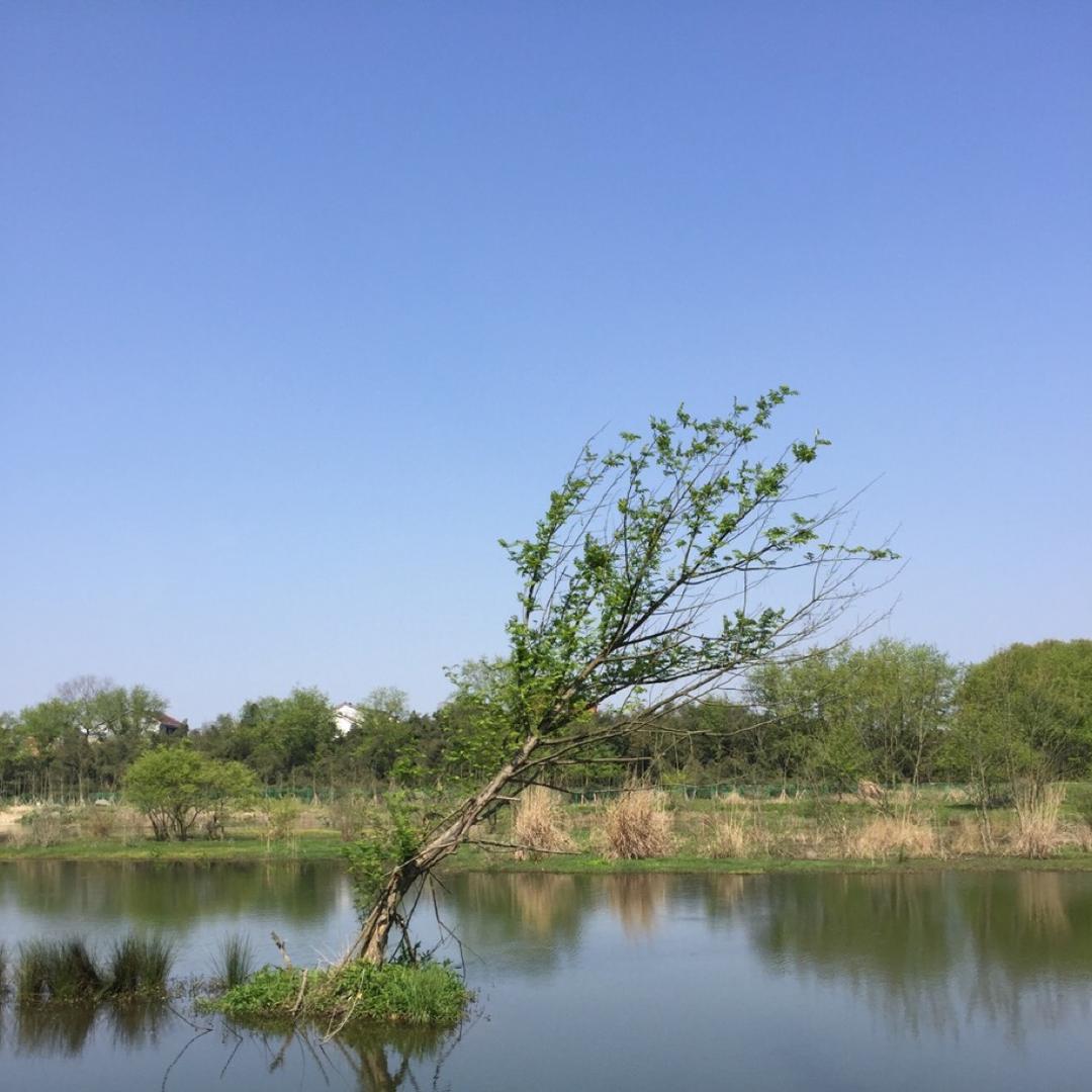 浪迹天涯
