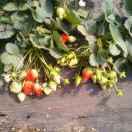 😂（*ﾟ∀ﾟ）つ―{}@{}@{}-