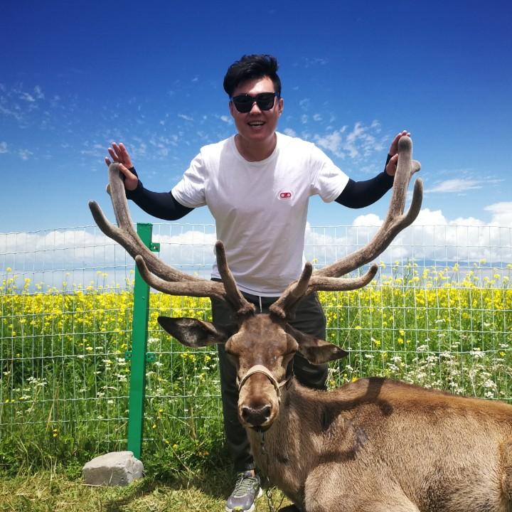 开心基地比优势