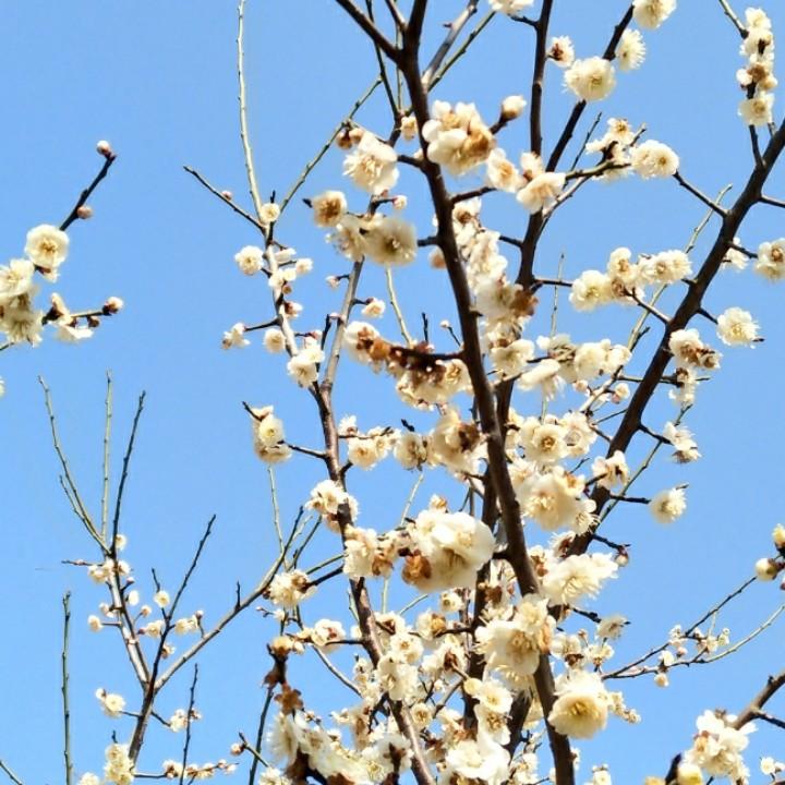 大姐大（盱眙门窗小姐姐）